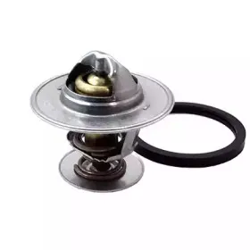 Термостат, охлаждающая жидкость FISPA купить