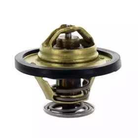 Термостат, охлаждающая жидкость FISPA купить