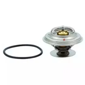 Термостат, охлаждающая жидкость FISPA купить