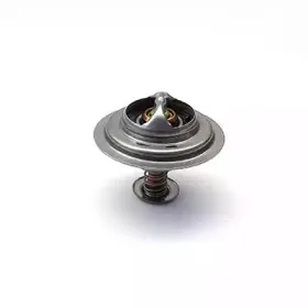 Термостат, охлаждающая жидкость FISPA купить