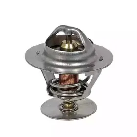 Термостат, охлаждающая жидкость FISPA купить