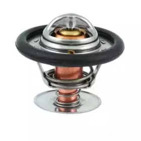 Термостат, охлаждающая жидкость FISPA купить