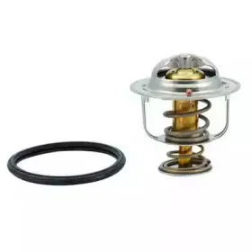 Термостат, охлаждающая жидкость FISPA купить