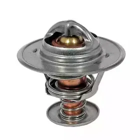 Термостат, охлаждающая жидкость FISPA купить