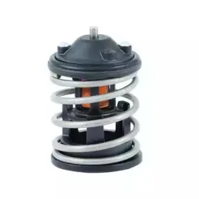 Термостат, охлаждающая жидкость FISPA купить