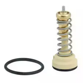 Термостат, охлаждающая жидкость FISPA купить