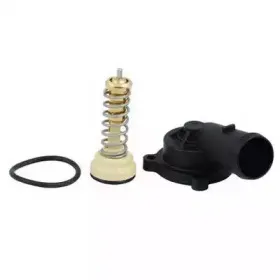 Термостат, охлаждающая жидкость FISPA купить