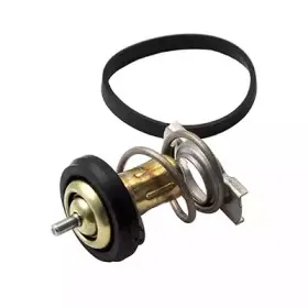 Термостат, охлаждающая жидкость FISPA купить