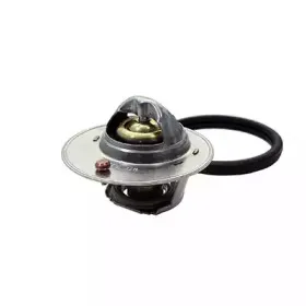 Термостат, охлаждающая жидкость FISPA купить