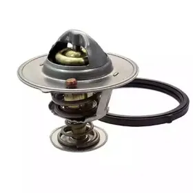 Термостат, охлаждающая жидкость FISPA купить