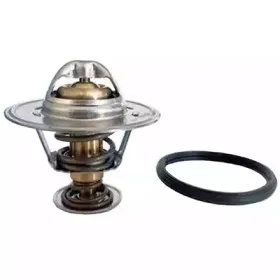 Термостат, охлаждающая жидкость FISPA купить