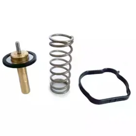 Термостат, охлаждающая жидкость FISPA купить