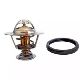 Термостат, охлаждающая жидкость FISPA купить