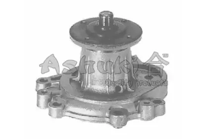 Водяной насос ASHUKI купить