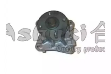 Водяной насос ASHUKI купить