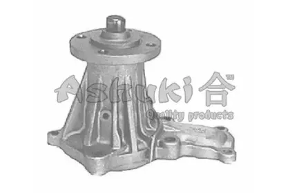 Водяной насос ASHUKI купить