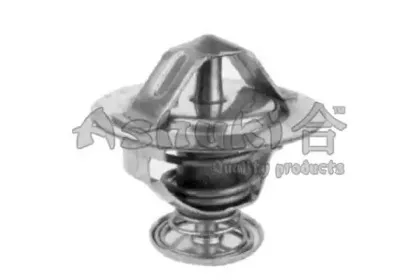 Термостат, охлаждающая жидкость ASHUKI купить