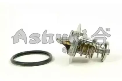 Термостат, охлаждающая жидкость ASHUKI купить