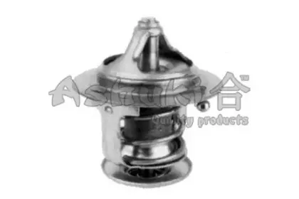 Термостат, охлаждающая жидкость ASHUKI купить