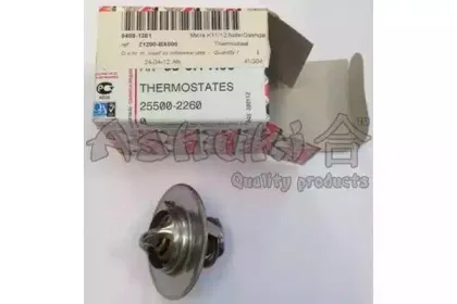 Термостат, охлаждающая жидкость ASHUKI купить