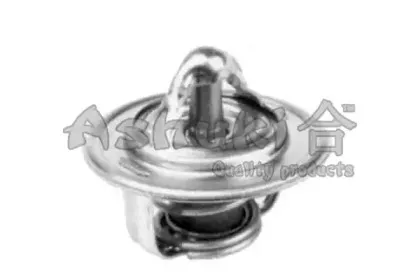 Термостат, охлаждающая жидкость ASHUKI купить