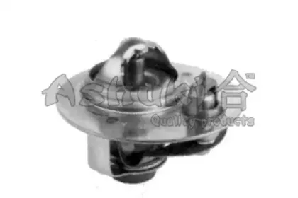 Термостат, охлаждающая жидкость ASHUKI купить