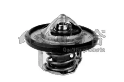 Термостат, охлаждающая жидкость ASHUKI купить