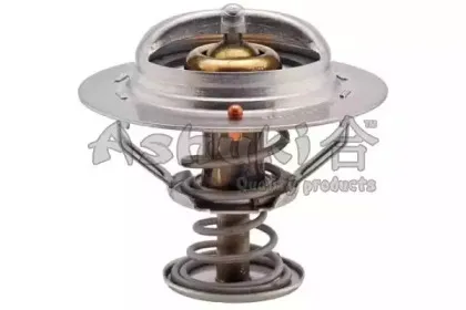 Термостат, охлаждающая жидкость ASHUKI купить