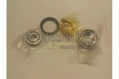 Комплект подшипника ступицы колеса ASHUKI купить