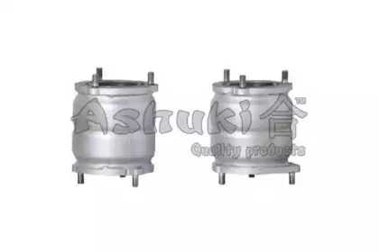 Катализатор ASHUKI купить