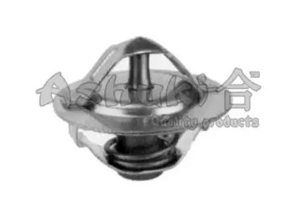 Термостат, охлаждающая жидкость ASHUKI купить