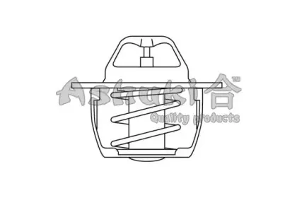 Термостат, охлаждающая жидкость ASHUKI купить