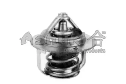 Термостат, охлаждающая жидкость ASHUKI купить