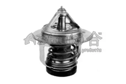 Термостат, охлаждающая жидкость ASHUKI купить