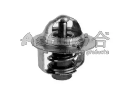 Термостат, охлаждающая жидкость ASHUKI купить