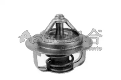 Термостат, охлаждающая жидкость ASHUKI купить