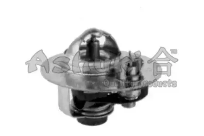 Термостат, охлаждающая жидкость ASHUKI купить