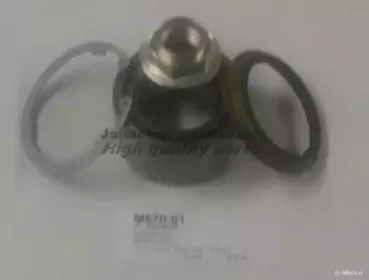 Комплект подшипника ступицы колеса ASHUKI купить