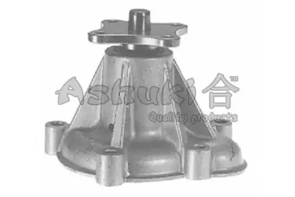 Водяной насос ASHUKI купить