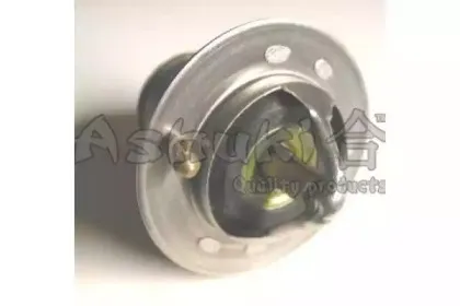 Термостат, охлаждающая жидкость ASHUKI купить