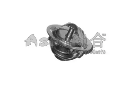 Термостат, охлаждающая жидкость ASHUKI купить