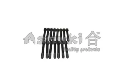 Комплект болтов головки цилидра ASHUKI купить