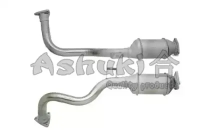 Катализатор ASHUKI купить