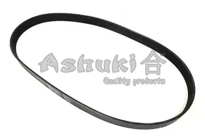 Поликлиновой ремень ASHUKI купить