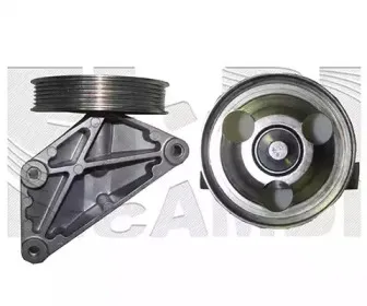 Натяжитель ремня, клиновой зубча CALIBER купить