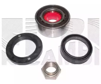 Комплект подшипника ступицы колеса CALIBER купить