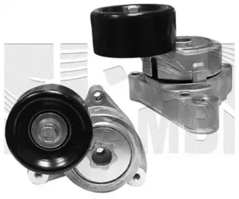 Натяжитель ремня, клиновой зубча AUTOTEAM купить