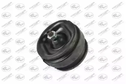 Подвеска, двигатель FORTUNE LINE купить