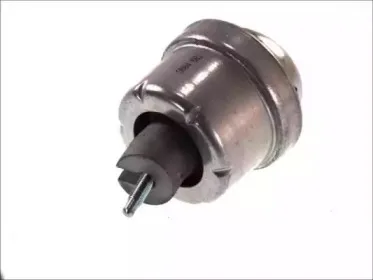 Подвеска, двигатель FORTUNE LINE купить