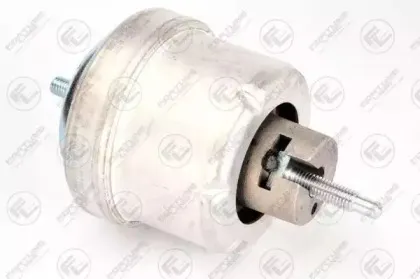 Подвеска, двигатель FORTUNE LINE купить